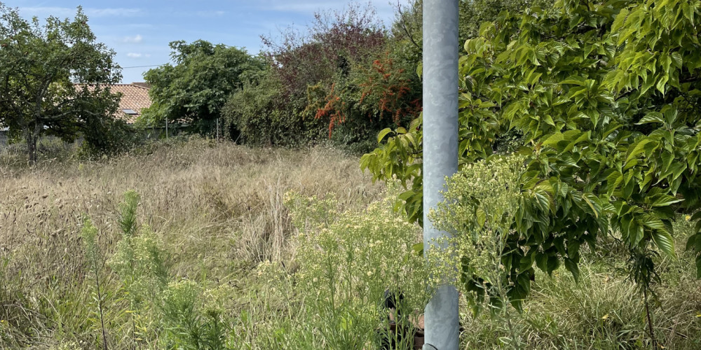 maison à LE TAILLAN MEDOC (33320)